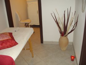 Kosmetik Behandlungen und Permanent Make up im Ayurveda Studio Mannheim
