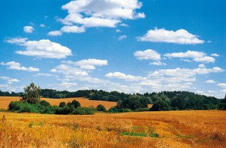 Landschaftsaufnahme um das Hotel Marienhof, Mecklenburgische Seenplatte